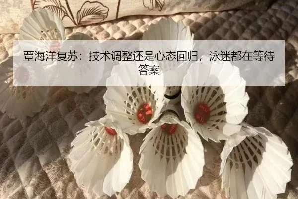 覃海洋复苏：技术调整还是心态回归，泳迷都在等待答案（leyu）